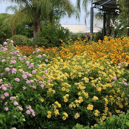 Bed & Breakfast Il Giardino Di Paola