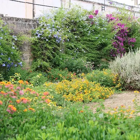 Bed & Breakfast Il Giardino Di Paola