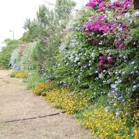 Il Giardino Di Paola 2*