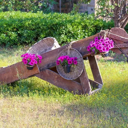 Il Giardino Di Paola Alliste