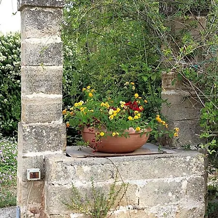 Bed & Breakfast Il Giardino Di Paola