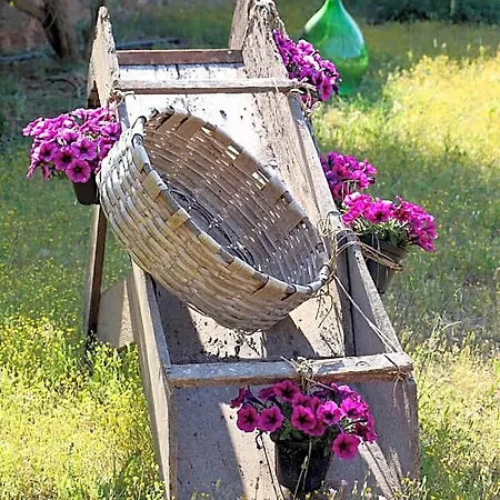 Bed & Breakfast Il Giardino Di Paola